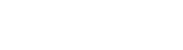 Dilijent Systems