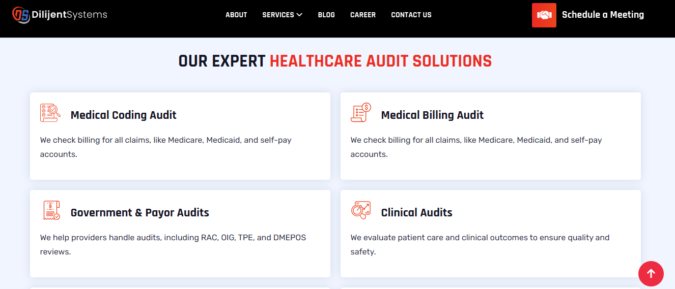 healthcare audit services