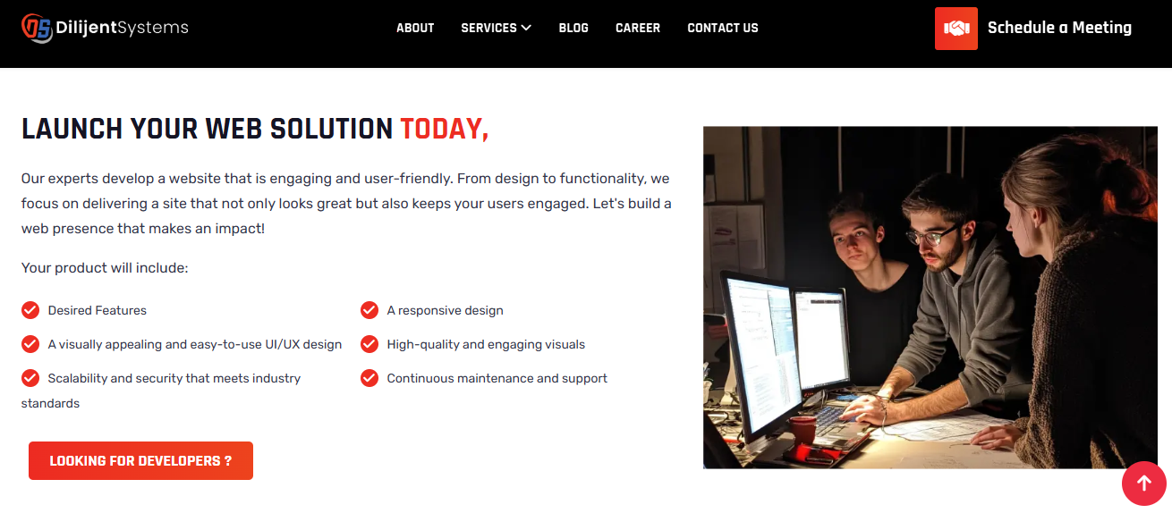 web application development