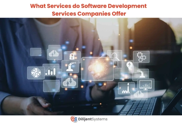 What Services do Software Development Services Companies Offer