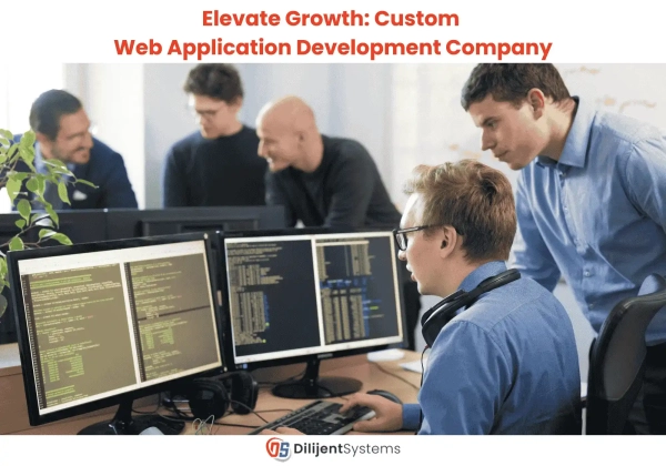 Elevate Growth: Custom Web Application Development Company